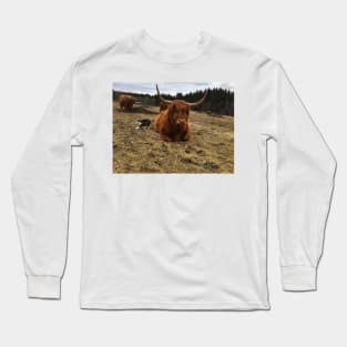 Scottish Highland Cattle Cow and cat 2365 Long Sleeve T-Shirt